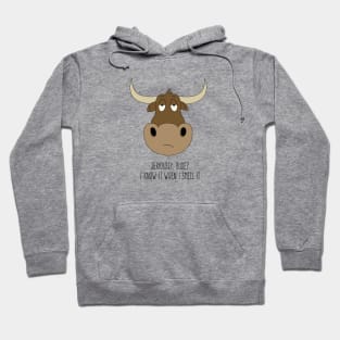 Bullsh*t Hoodie